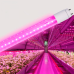LED FITO лампа VIDEX T8F  9W 0.6M