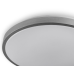 RING матовий 80W 480*60мм 3000К-6500К з ДК срібний
